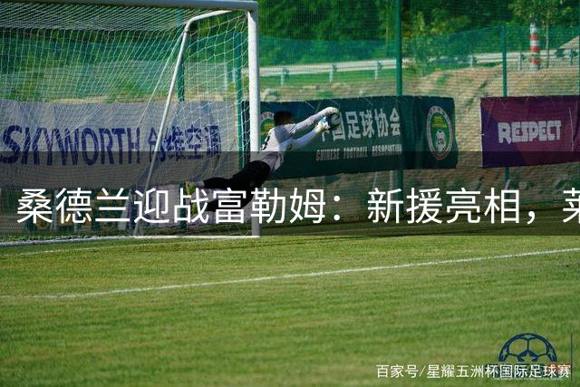 桑德兰迎战富勒姆：新援亮相，莱诺镇守城门